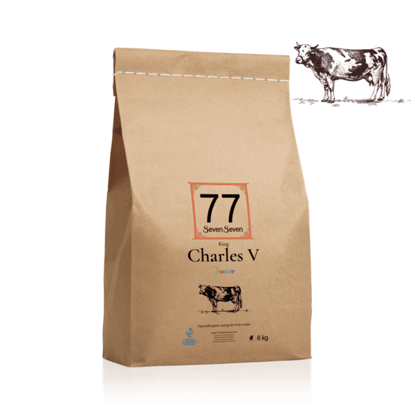 Worek karmy Junior Charles V z wołowiną Angus o wadze 6 kg